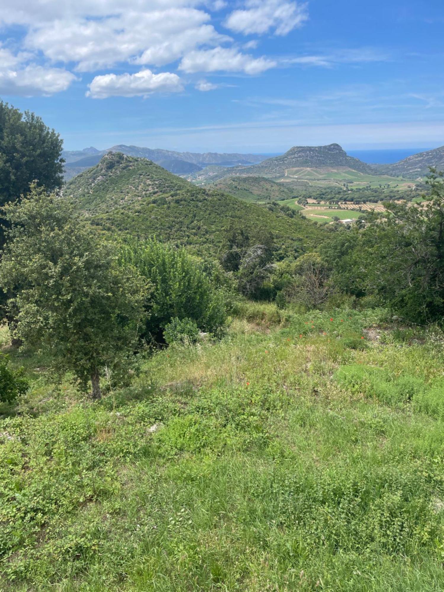 Casa Di Cajucan Poggio-d'Oletta Buitenkant foto