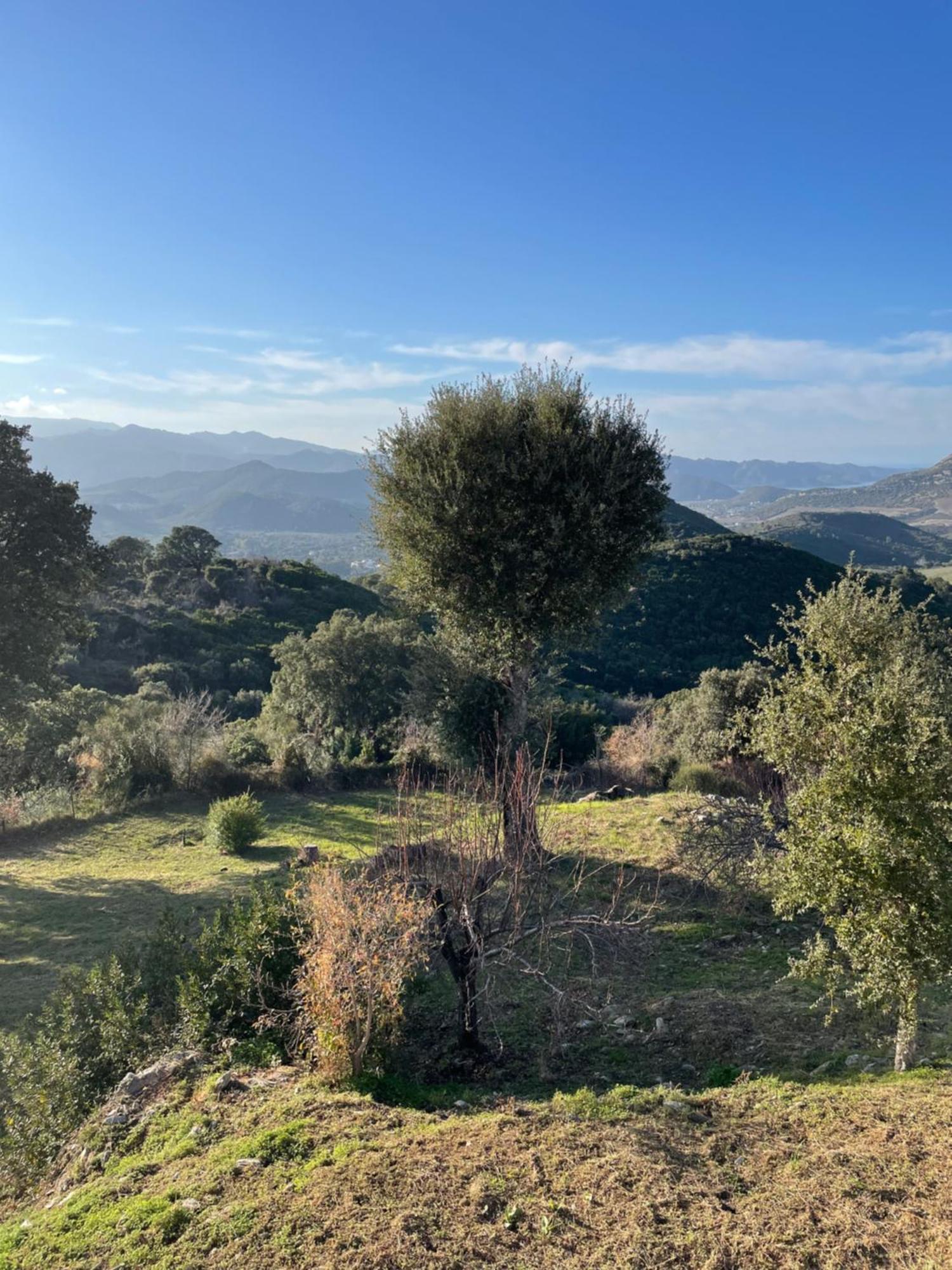 Casa Di Cajucan Poggio-d'Oletta Buitenkant foto