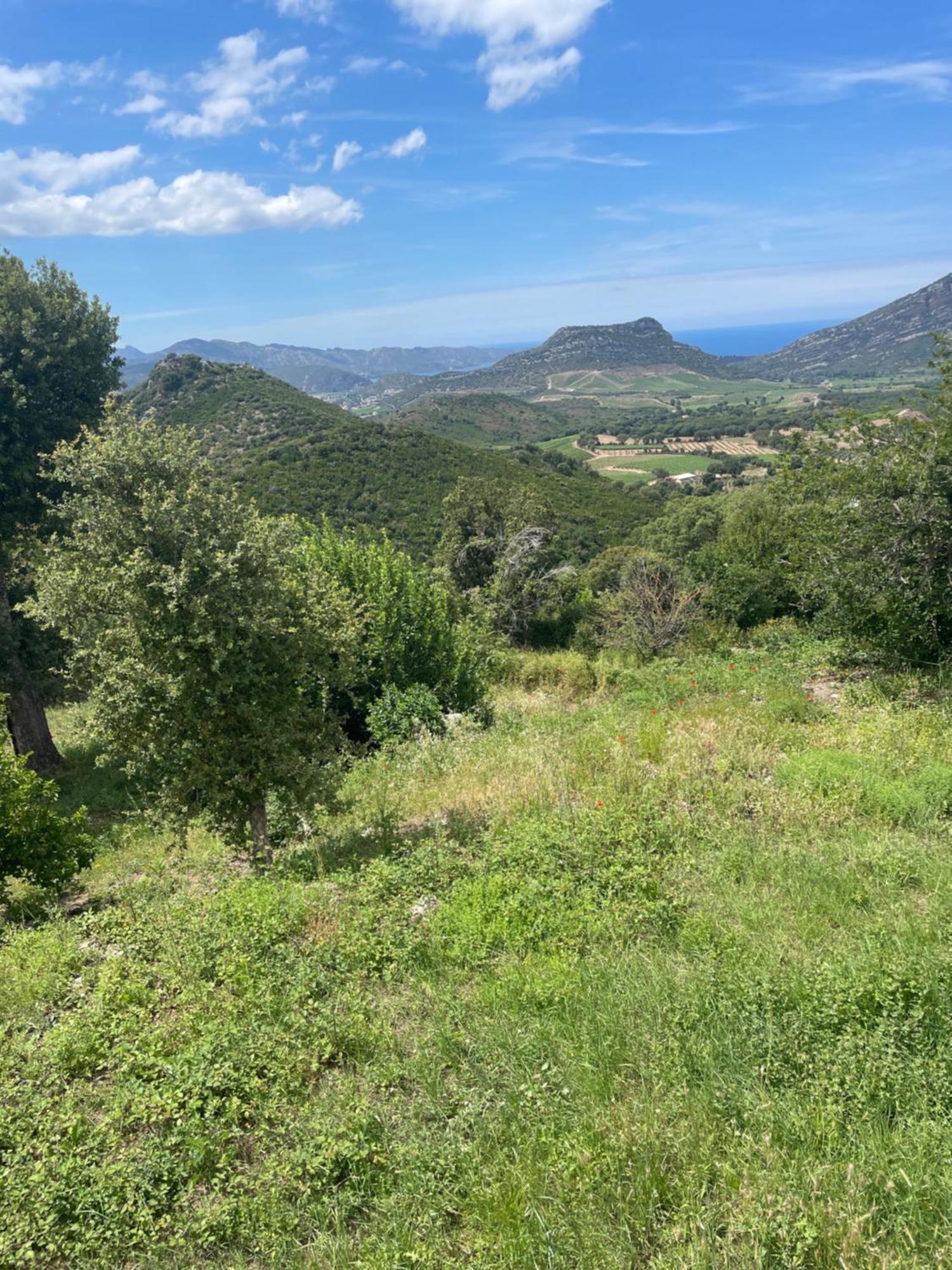 Casa Di Cajucan Poggio-d'Oletta Buitenkant foto